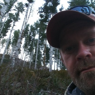 Profile Picture of Bill Taylor (@BillTay39778830) on Twitter