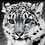 Profile Picture of Michael Martinovic (@martinovicmichael) on Instagram