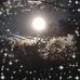 Profile Picture of Peter Zuk (@peter.zuk.73) on Facebook