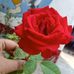 Profile Picture of Manprit Komal (@manprit.komal.1) on Facebook