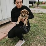 Profile Picture of Monique Kennedy (@moniquekennedy662) on Instagram