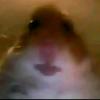 Profile Picture of Aaron cisneros (@@diegocisneros084) on Tiktok