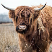 Profile Picture of Michael Leigh (@michaelleigh5518) on Youtube