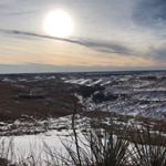 Profile Picture of Erin Tobin (@healthynp33) on Instagram