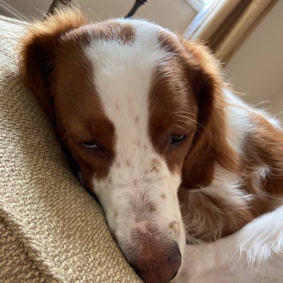 Profile Picture of Michael Wisinski (@michaelwisinski) on Poshmark