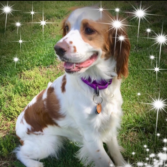 Linda Recine - Poshmark Profile Picture of Linda Recine (@lmrecine) on Poshmark