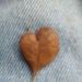 Profile Picture of Adam Granados (@adamgranados34) on Pinterest