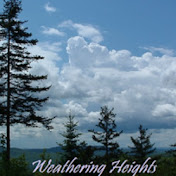Profile Picture of Roger Hill (@WeatheringHeights1) on Youtube