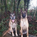 Profile Picture of Andy Willems (@maliconandy) on Instagram