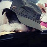 Profile Picture of Athena Applepeak (@chloejjamison) on Instagram