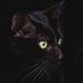 Profile Picture of Juliana Soergel (@kronjuwelen) on Pinterest