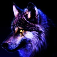 Profile Picture of Róbert Kulcsár (@róbert-kulcsár) on Quora