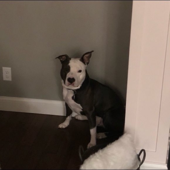 Profile Picture of Granny Cakes (@grannnycaakes) on Poshmark