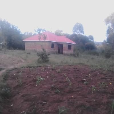 Profile Picture of Pastor Edwins (@EdwinsPastor) on Twitter