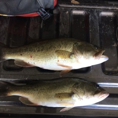 Profile Picture of Michael Enger (@michaelenger96) on Twitter