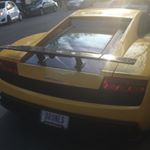 Profile Picture of David stegner (@stegnut_spamm) on Instagram
