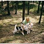 Profile Picture of Gisela Walter (@giselawalter) on Instagram