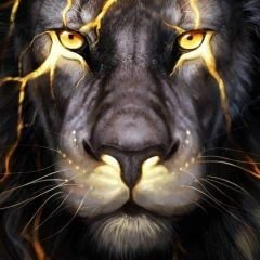 Profile Picture of Thomas Bounds (@ThomasB68868233) on Twitter