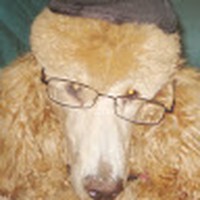 Profile Picture of Michael Gutkin (@michael-gutkin-3) on Quora