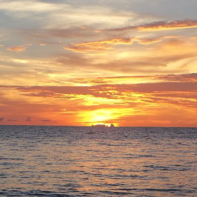 Profile Picture of Brian Hedman (@brian8675) on Twitter