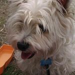 Profile Picture of David hagger (@hagger.david) on Instagram