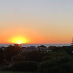 Profile Picture of Barry Stevenson (@bearsweat) on Instagram