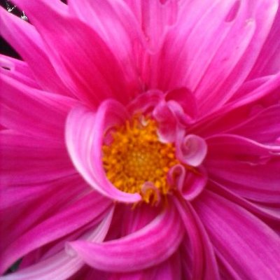 Maria Josefina Roman - Twitter Profile Picture of Maria Josefina Roman (@mjrpp2000) on Twitter