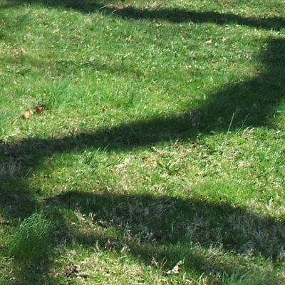 Profile Picture of Steger (@asteger) on Twitter