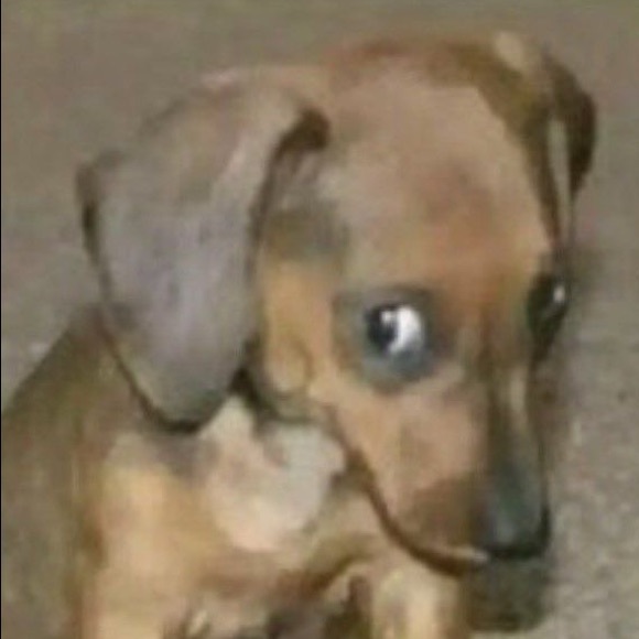 Profile Picture of Monica Afaga (@mon1ca104) on Poshmark