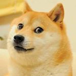 Nicholas Peachy - Instagram Profile Picture of Nicholas Peachy (@nicholaspeachy) on Instagram