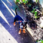 Profile Picture of Blake Gill (@blakegill2227) on Youtube