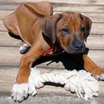 Profile Picture of John Stanicki (@johnstanicki) on Instagram