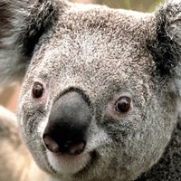 Profile Picture of Jordan Ware (@jordan-ware-7) on Quora