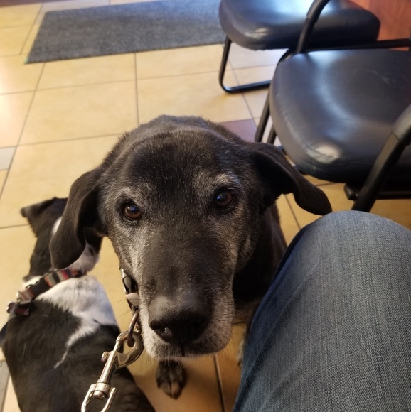 Profile Picture of John Hoffmann (@jwhoff) on Poshmark