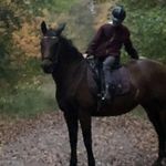 Profile Picture of Amanda (@amanda_schultz_unnerup) on Instagram