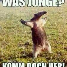 Michael Sadowski - Twitter Profile Picture of Michael Sadowski (@7fd01879bccc4b9) on Twitter