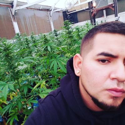 Profile Picture of Jose (@_jacobmiranda) on Twitter