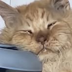 Profile Picture of Eric Pingel (@eric.pingel.7) on Facebook