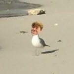Profile Picture of jake hetrick fan page??????? (@jake_hetrick_sucks_butt) on Instagram