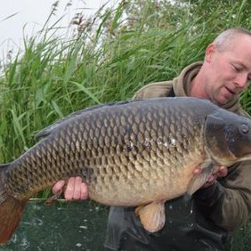 Profile Picture of Mike Pottle (@MikePottle70) on Twitter