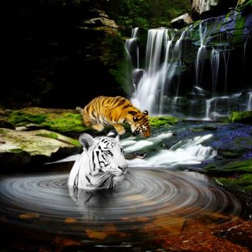 Profile Picture of Cheyenne Keller (@CheyenneKeller4) on Twitter