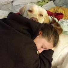 Profile Picture of Taryn Morrison (@ltemorrison) on Twitter