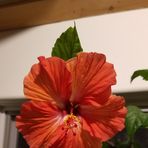 Profile Picture of Cher Laughlin (@cher.laughlin.1) on Facebook