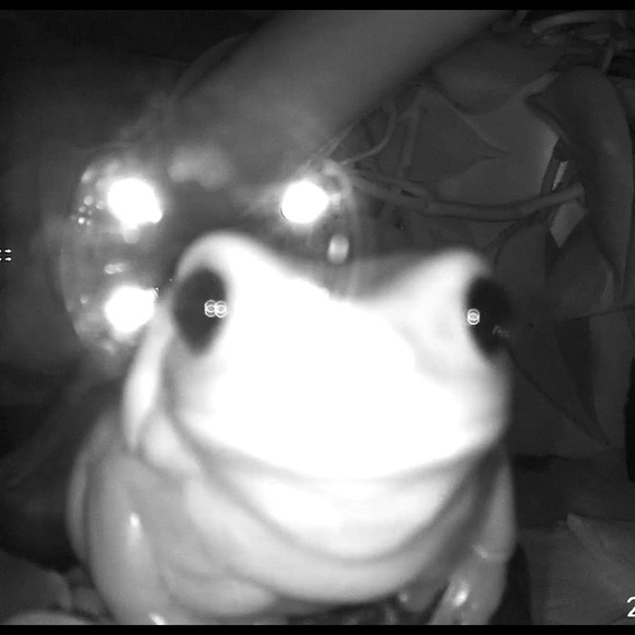 Profile Picture of Brook Marshall (@guagebrk) on Poshmark