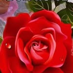 Profile Picture of Luckner Leandre (@luckner.leandre.2025) on Facebook