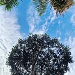 Profile Picture of Lisa Allegrini (@laiza.allegrini) on Facebook