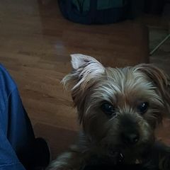 Profile Picture of Patricia Gladney (@patricia.gladney3) on Tiktok