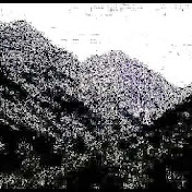 Profile Picture of Peter Hofbauer (@hofbauerpeter) on Youtube