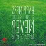 Profile Picture of Philip Leary (@philipleary.31801) on Instagram