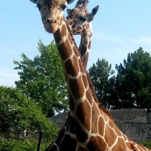 Profile Picture of Janet Stratton (@330683186) on Myspace